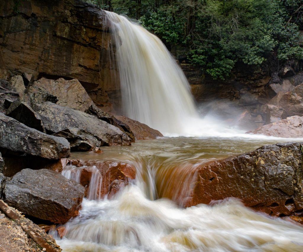 Coastal Camera Club Sussex County